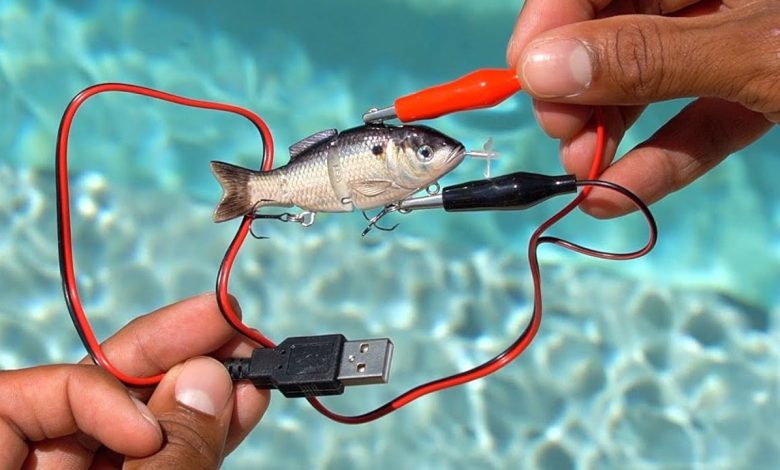 صيد الاسماك بالكهرباء والصعق