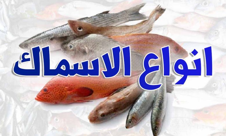 تمتد عصابة لعب الرياضة  اسماء انواع السمك بالصور بالتفصيل و أغلى الانواع وأجملها - أسماك العرب