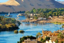 اسماك نهر النيل