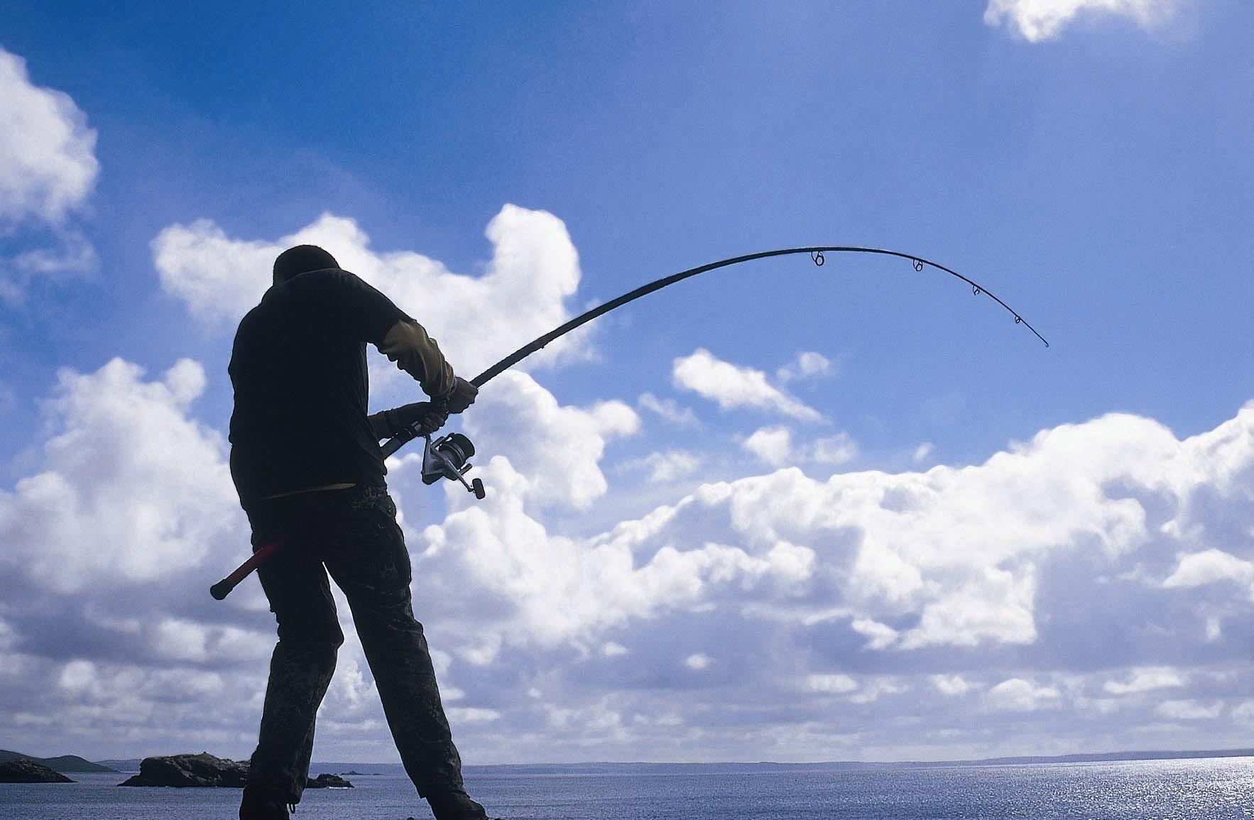 صيد السمك بالسنارة للمبتدئين
