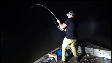 صيد السمك بالليل
