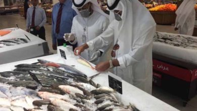 انواع السمك في الدول العربية