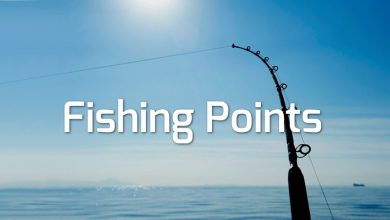تحميل برنامج fishing points